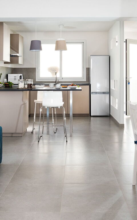 Diantha: Dining Room, Living Room