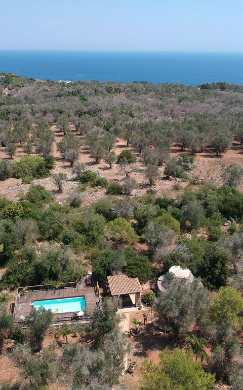 Villa Astrea: Pool, Scenic View