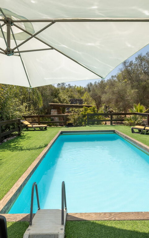 Villa Astrea: Building Exterior, Garden, Outdoor, Pool