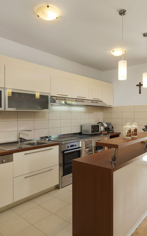 Villa Roglic: Kitchen