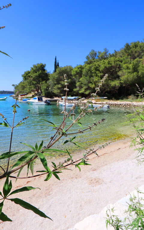 Villa Emerald: Activities, Scenic View