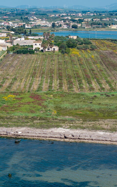 Villa Casale: Scenic View