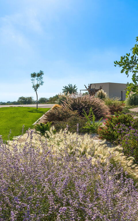 Villa Passo Salina: Garden