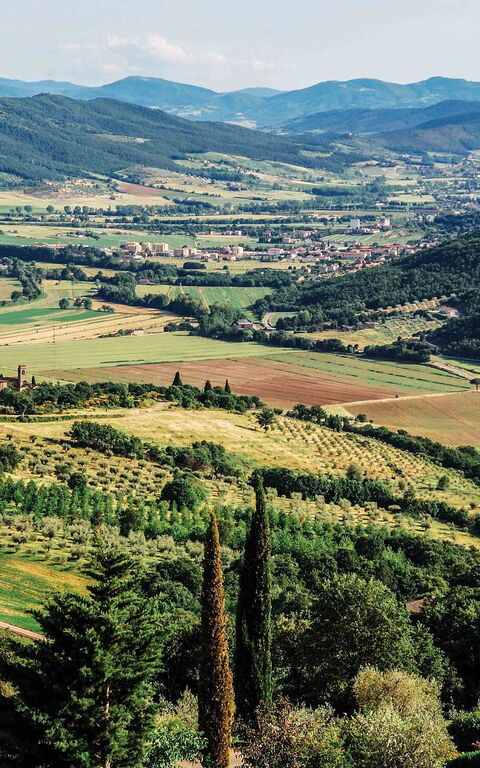 Villa Paradiso: Scenic View