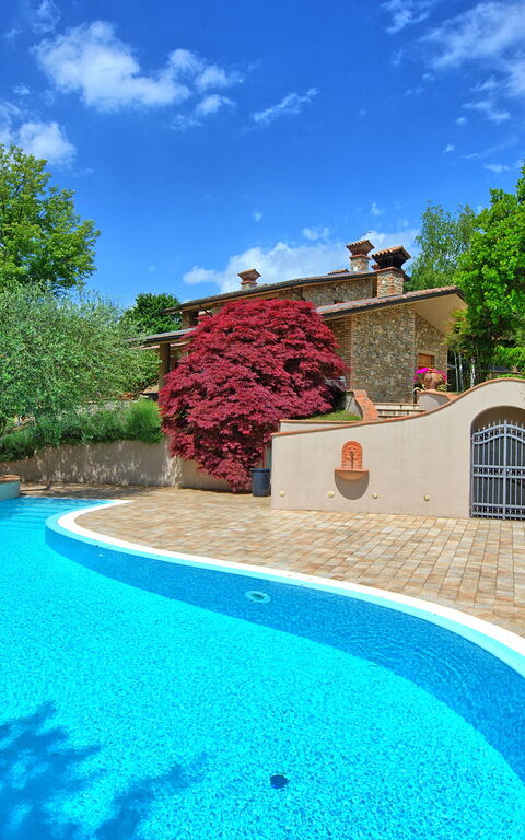 Villa Paradiso: Garden, Pool