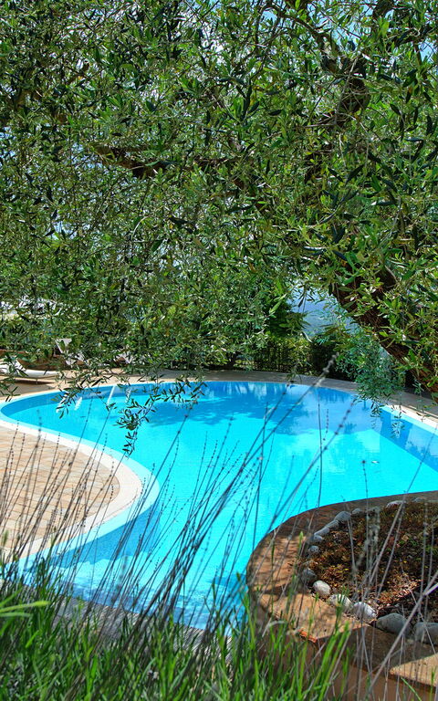 Villa Paradiso: Garden, Pool
