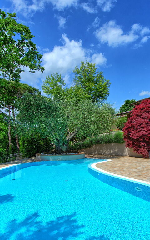 Villa Paradiso: Pool