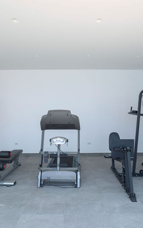 Villa Elysium: Activities