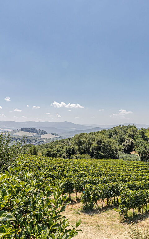 Chateau La Siroque: Building Exterior, Outdoor, Scenic View