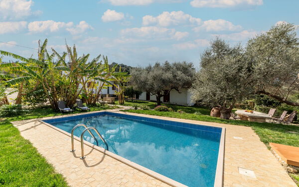 Klapas: Building Exterior, Garden, Pool