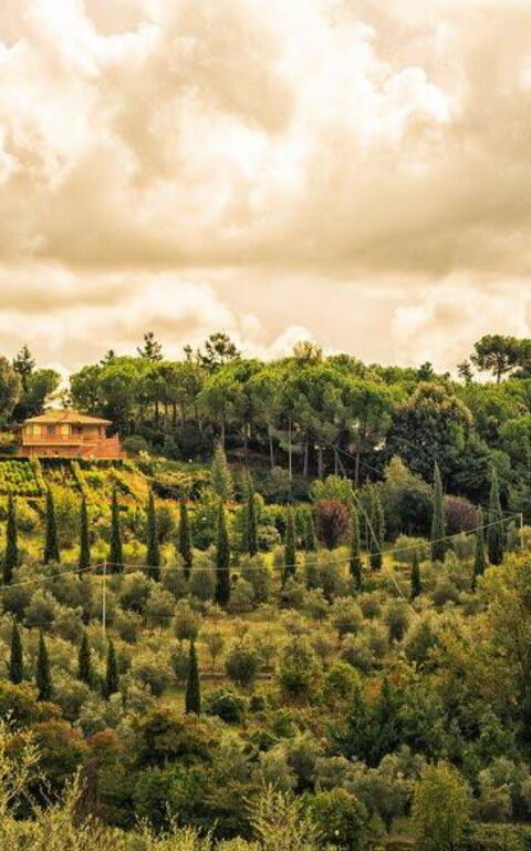 Leccino: Building Exterior, Outdoor, Scenic View