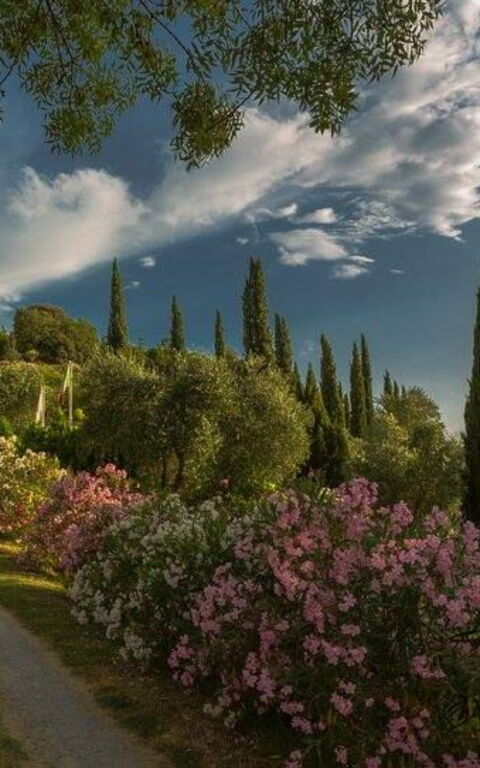 Leccino: Building Exterior, Garden, Outdoor, Scenic View