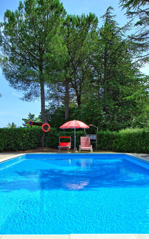 Leccino: Garden, Outdoor, Pool