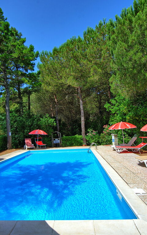 Leccino: Garden, Outdoor, Pool