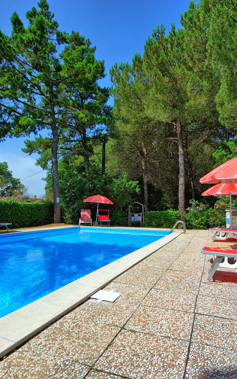 Leccino: Garden, Outdoor, Pool