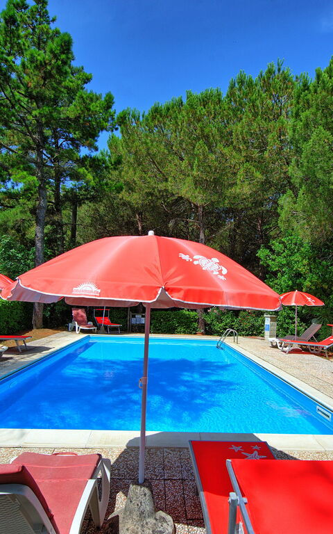 Leccino: Garden, Outdoor, Pool