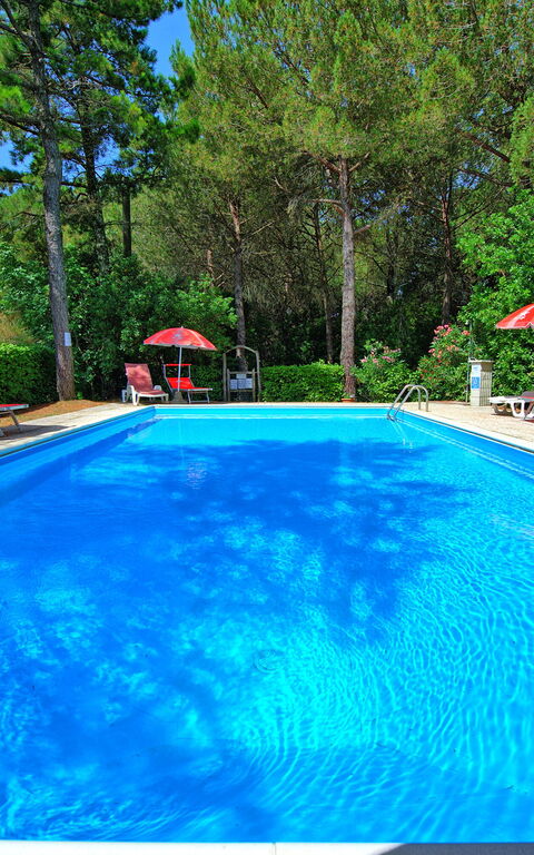 Leccino: Garden, Outdoor, Pool