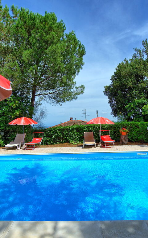 Leccino: Garden, Outdoor, Pool