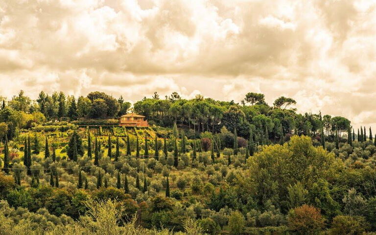 Leccino: Building Exterior, Outdoor, Scenic View