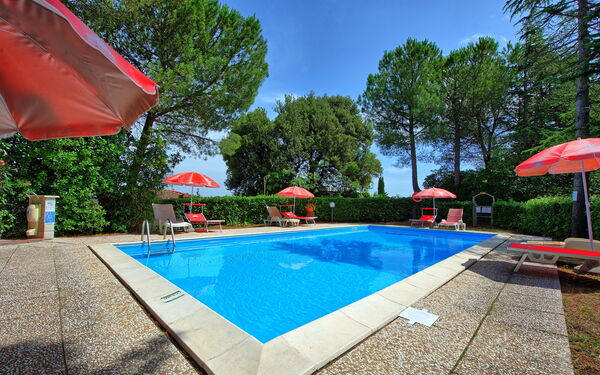 Leccino: Garden, Outdoor, Pool