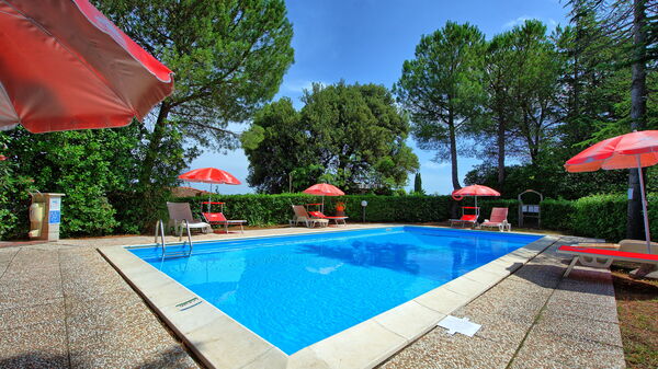 Leccino: Garden, Outdoor, Pool