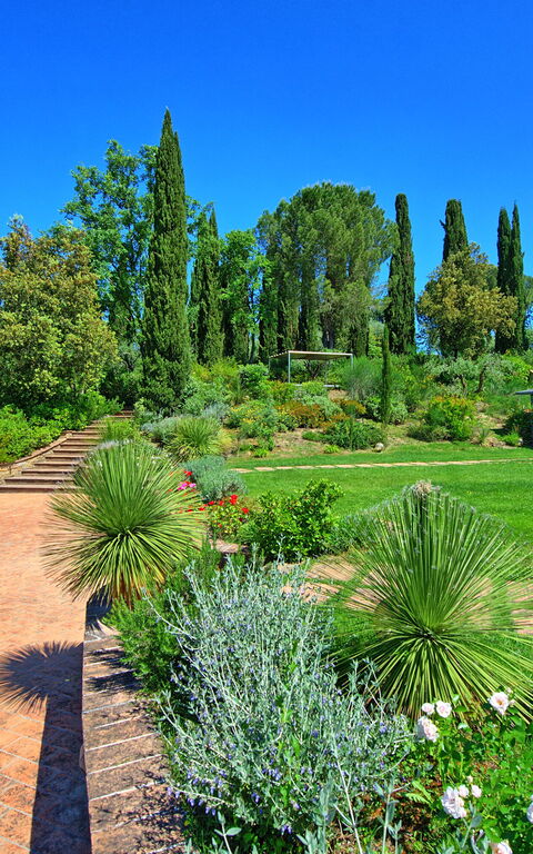 Villa Barbarella: Garden, Outdoor, Pool