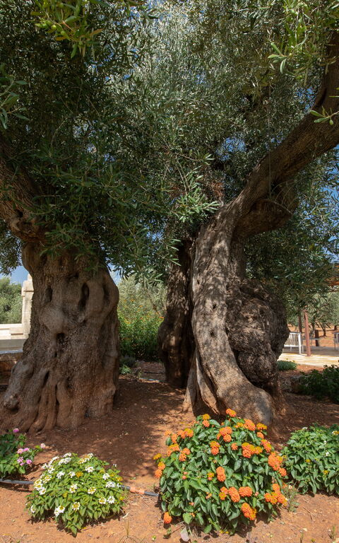 Terra Mater: Building Exterior, Outdoor