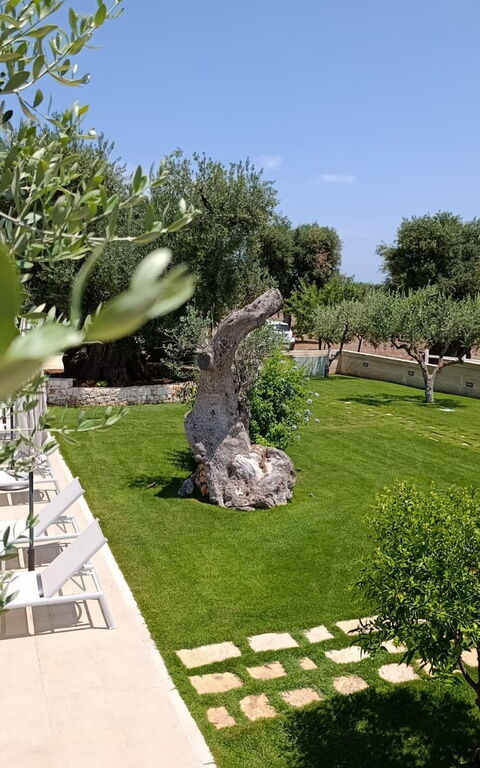 Terra Mater: Building Exterior, Garden, Outdoor, Pool