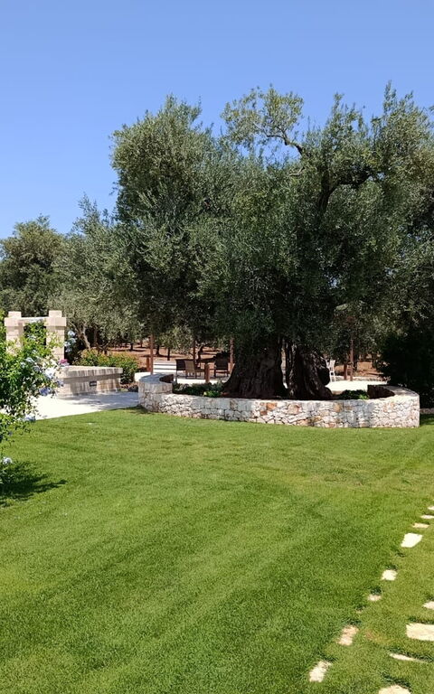 Terra Mater: Building Exterior, Garden, Outdoor