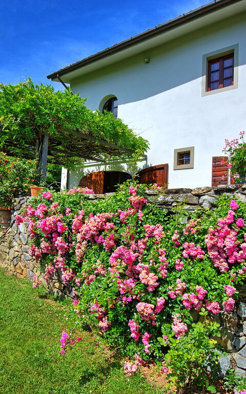 Villa Mami: Building Exterior, Garden, Outdoor
