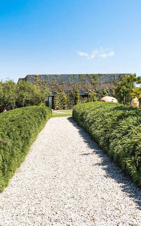 Villa Agnese: Main Entrance