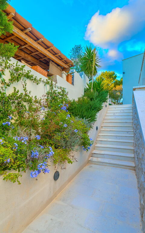 Villa Pine Haven: Building Exterior, Outdoor