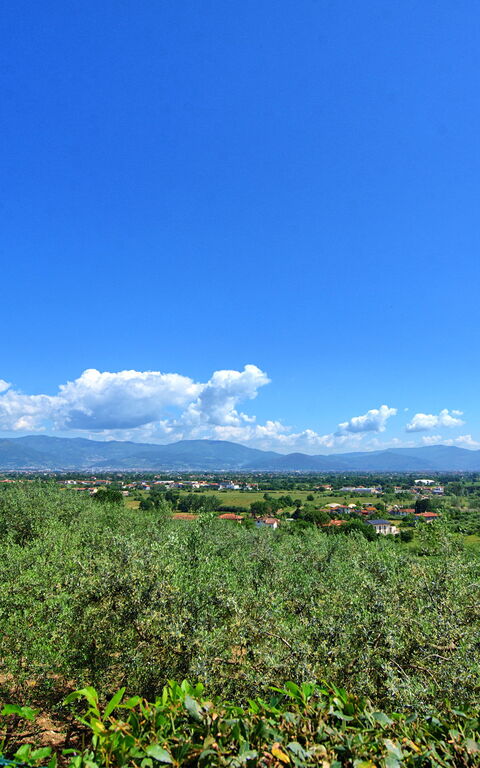 Villa Marusca: Building Exterior, Outdoor