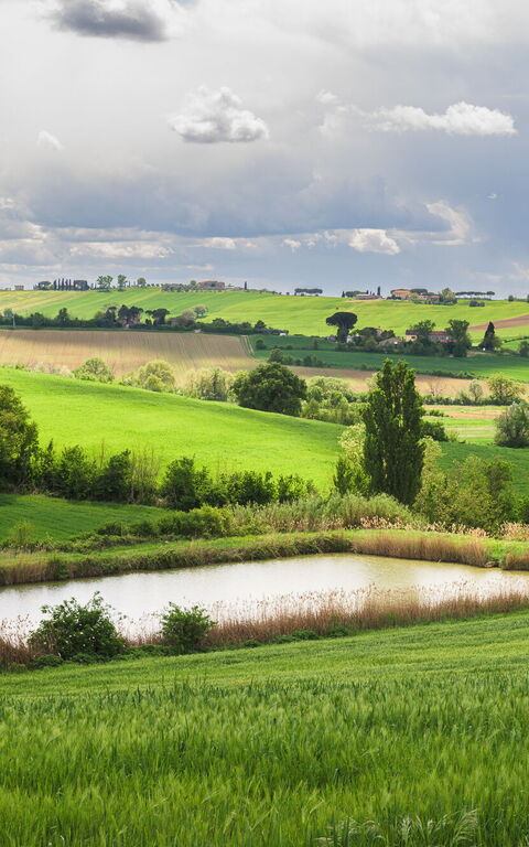 Villa la Contea: Building Exterior, Garden, Outdoor, Scenic View