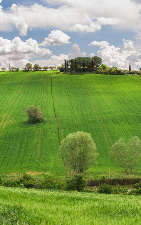 Villa la Contea: Scenic View