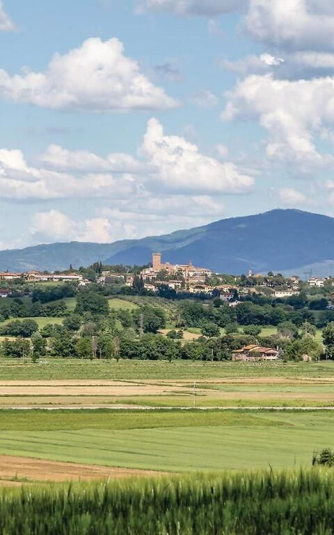 Villa Il Pozzo: Scenic View