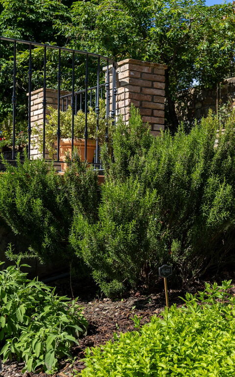 Tenuta Macericca: Building Exterior, Outdoor