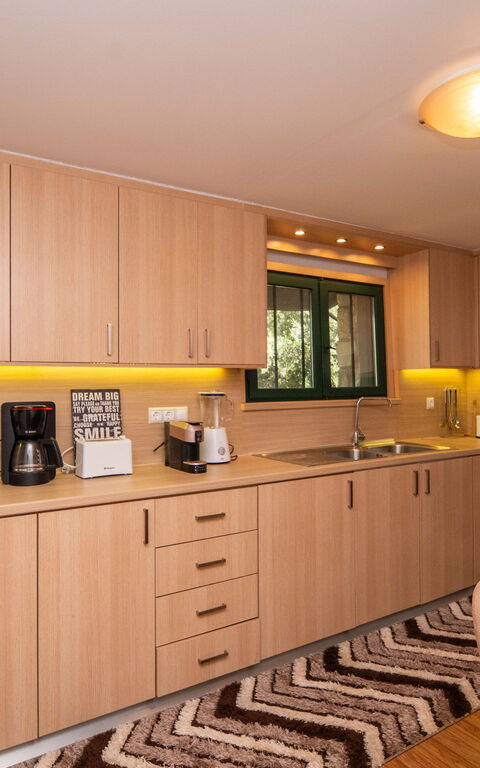 Villa Nikolas: Kitchen