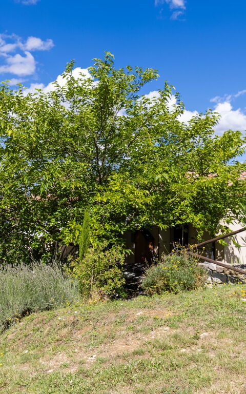 Villanova Lonciano - 2026: Building Exterior, Garden, Outdoor