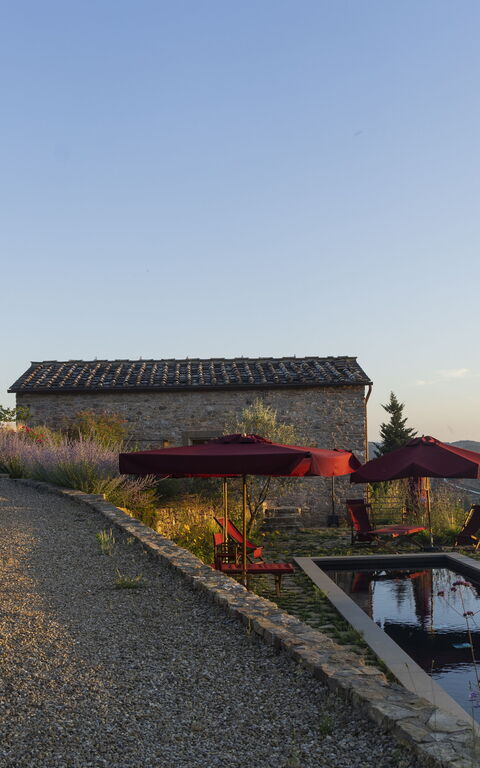 Villa Tenuta Casenuove: Building Exterior, Garden, Outdoor, Pool, Scenic View