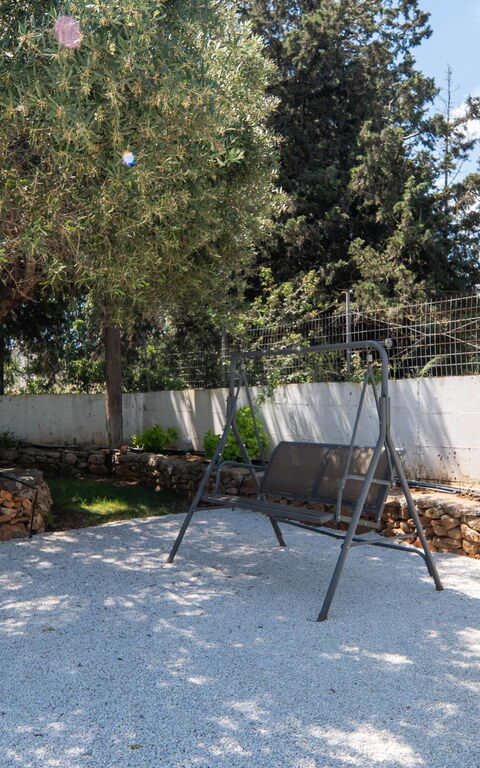 Magnolia: Garden, Outdoor