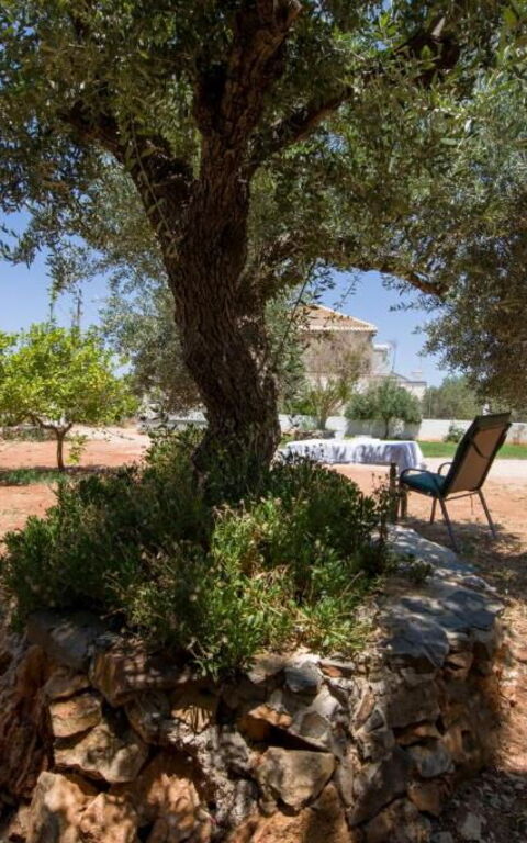 Magnolia: Building Exterior, Garden, Outdoor