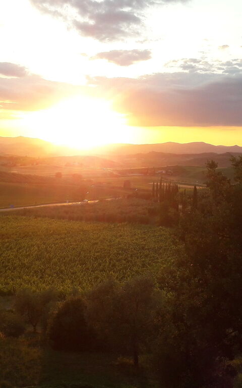 Podere Peteglia: Scenic View