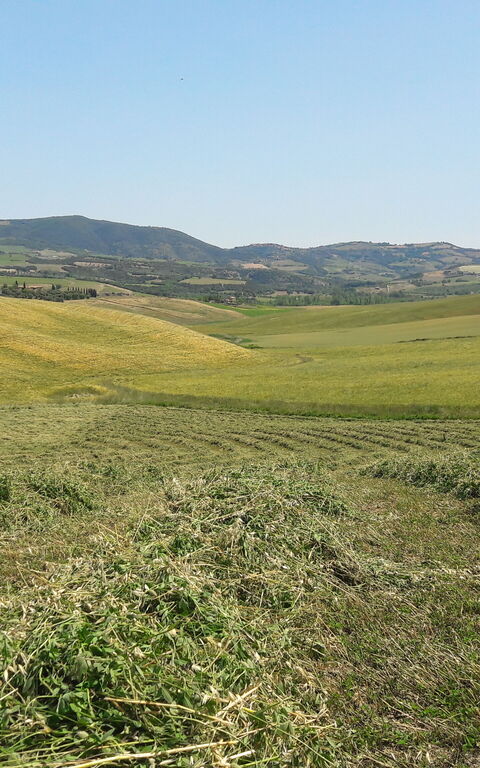 Podere Peteglia: Scenic View