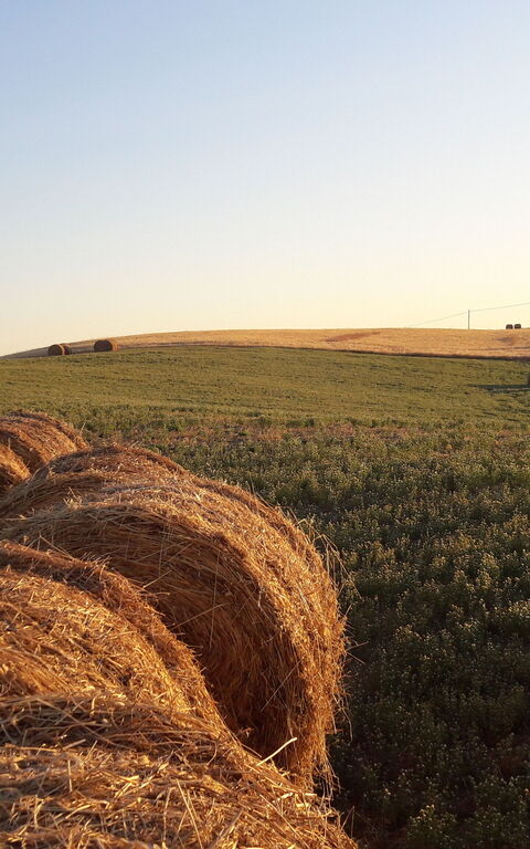 Podere Peteglia: Scenic View