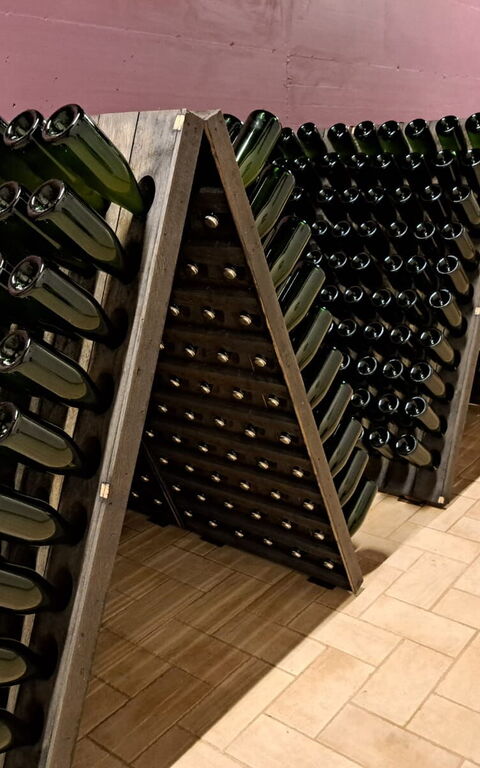 Podere Peteglia: Activities