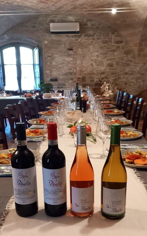 Podere Peteglia: Activities