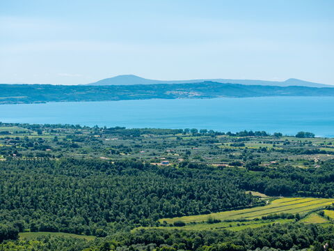 Tenuta Poggio Guiano