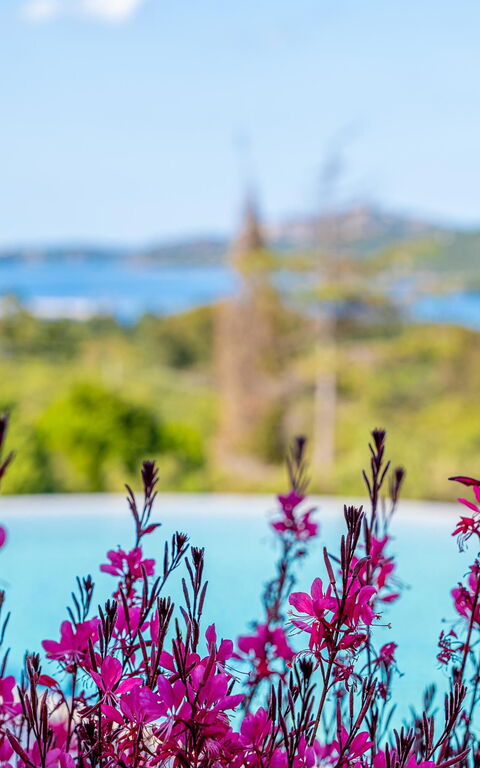 Villa Zephyros: Pool, Scenic View