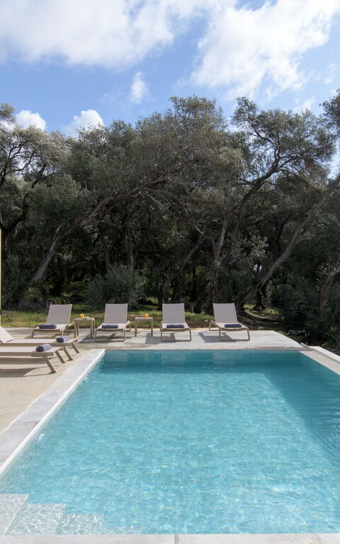 Villa Elais: Outdoor, Pool